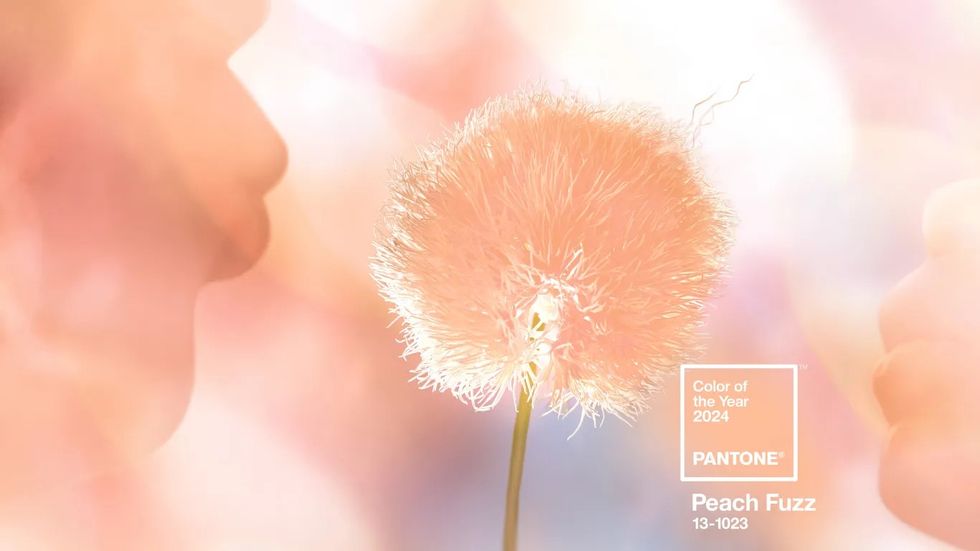2024年度代表色peach fuzz柔和桃美妝推薦