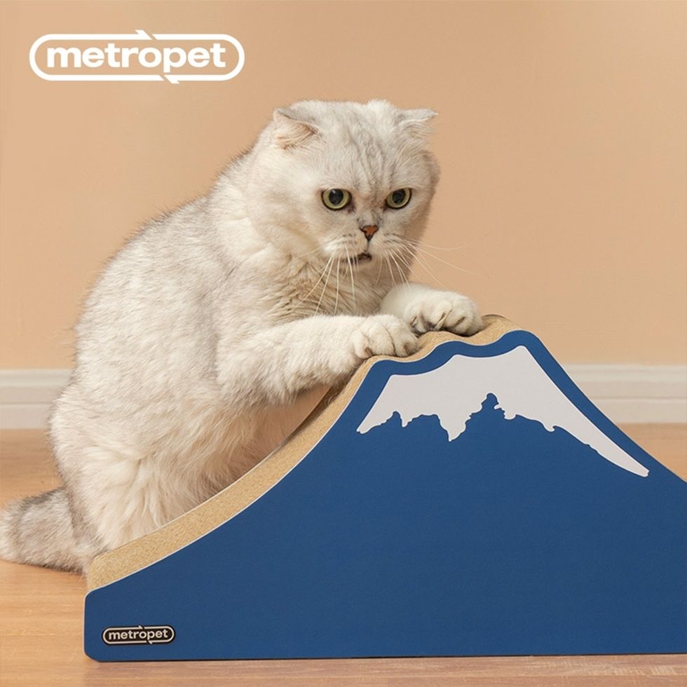 15款超趣味「貓抓板」特輯：煞氣的浮世繪、佛祖貓專用、富士山抓板