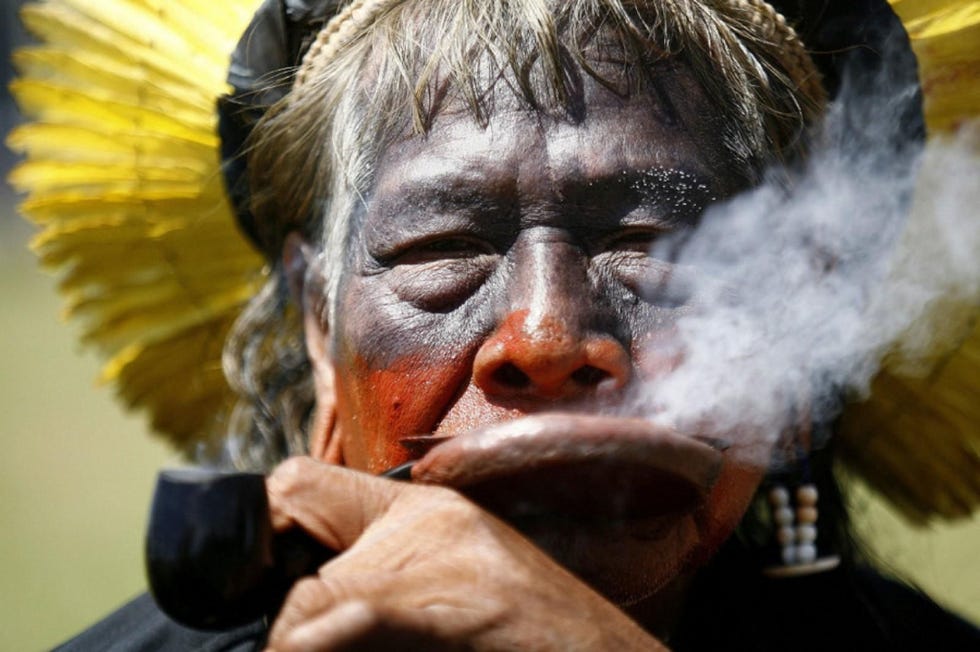Bedreigde Amazonestammen BraziliIn het Amazonegebied komen enkele stammen voor wier leefwijze wordt bedreigd Een van die stammen zijn de Kayapo wat letterlijk vertaalt naar zij die op apen lijken De stam die nog 8000 leden telt verkiest zelf de naam Mebngkre wat mensen van de waterbron betekent Net als bij de Mursi komen ook hier de lipschotels voor hoewel onder de Mebngkre alleen de mannen ze dragen Al op jonge leeftijd worden jongens hiervoor gepiercet in de pubertijd wordt de schotel in de lip gezet Hoe groter het lipbord hoe groter het aanzien en de status van de man Vrouwen en kinderen worden niet gepiercet maar beschilderen hun gezichten met dezelfde patronen die insecten hebben Zij geloven dat ze zo makkelijker te kunnen communiceren met geesten die volgens hen overal leven