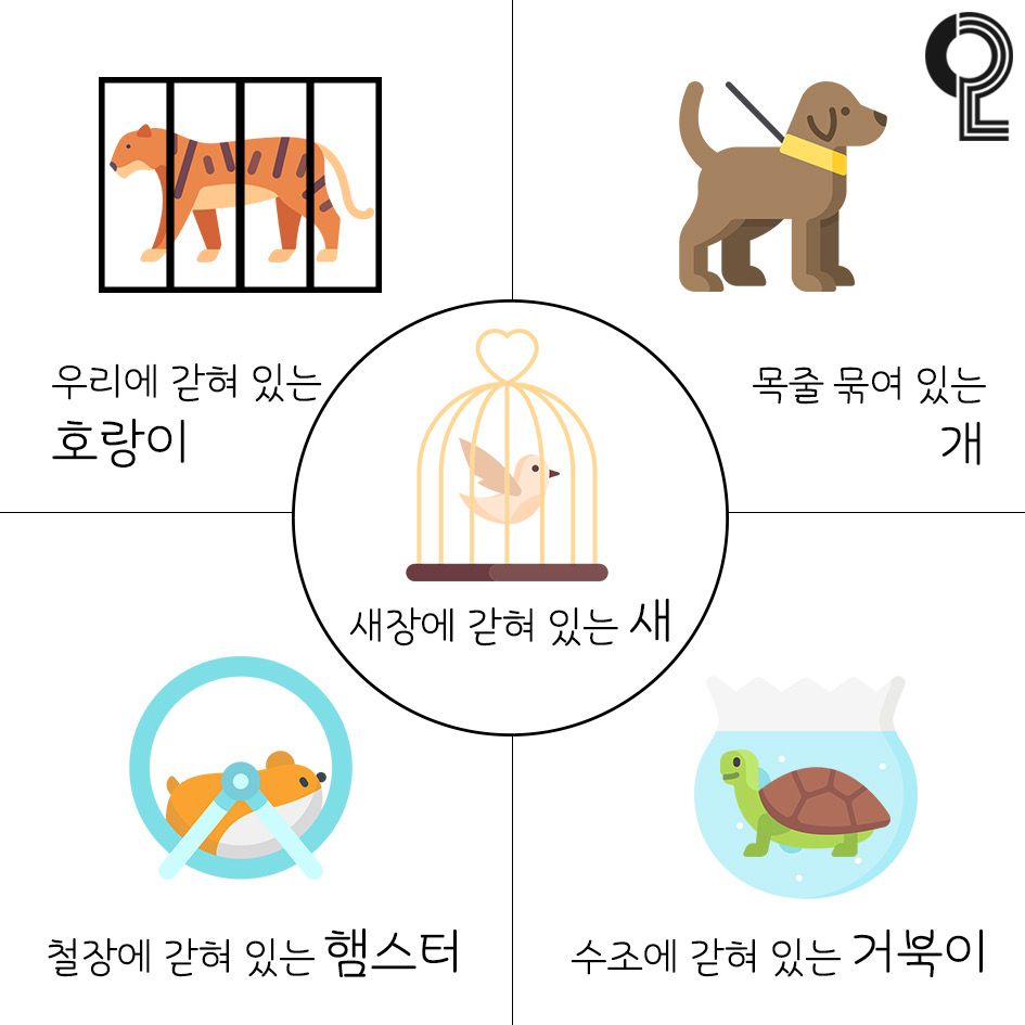 韓國超準心理測驗！一張圖看出你厭世原因、壓力來源