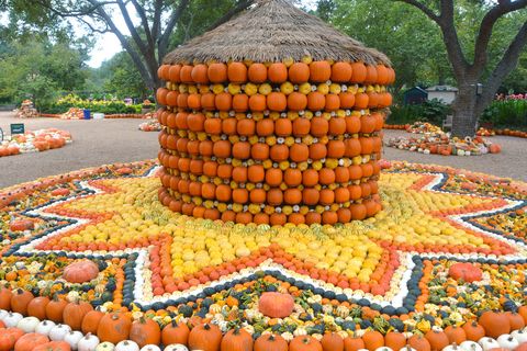 pumpkin festival