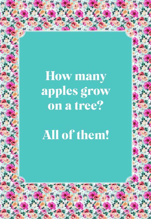 best jokes for kids apples grow on tree