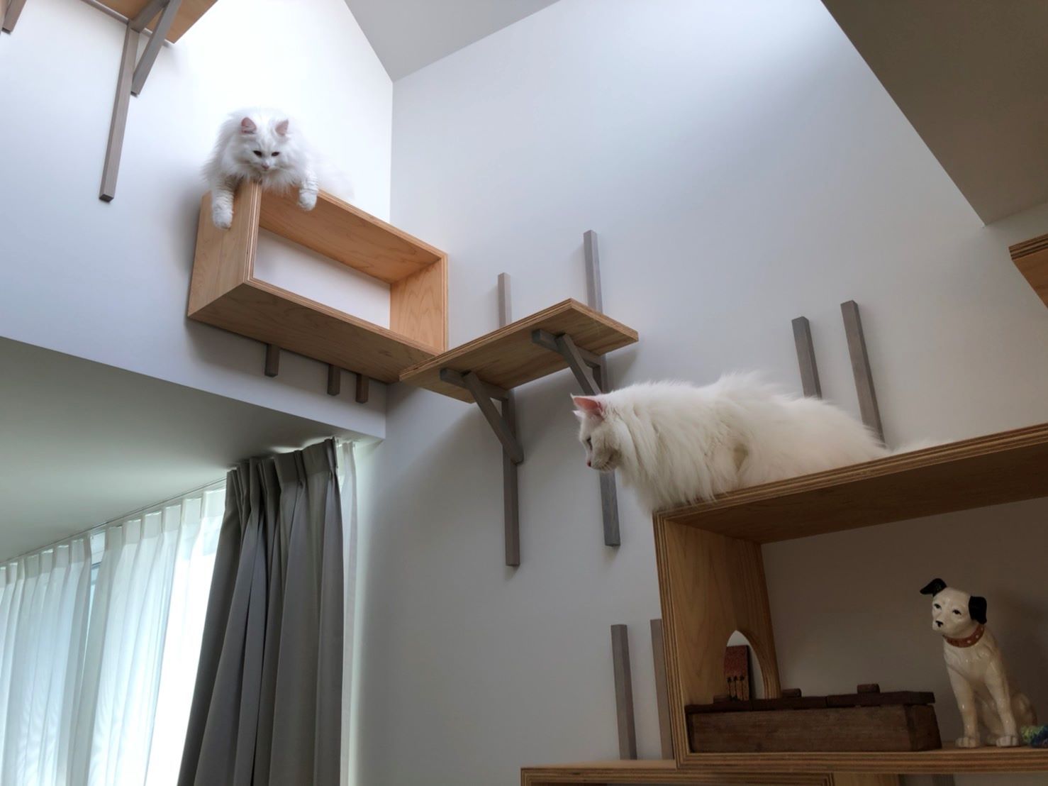 大切なペットとおしゃれに暮らす。見た目も美しい猫＆犬用グッズ8選