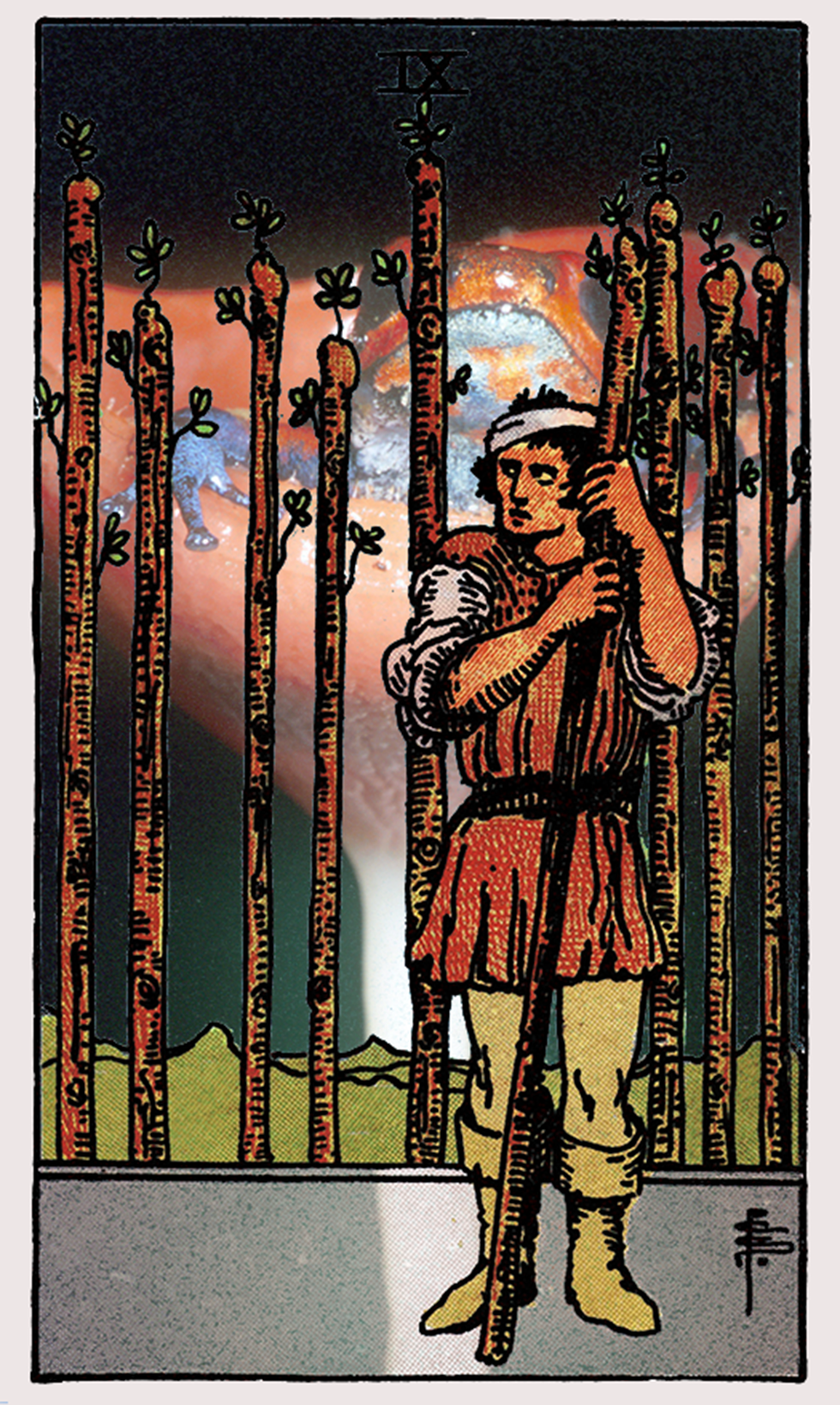 nine of swords tarot card