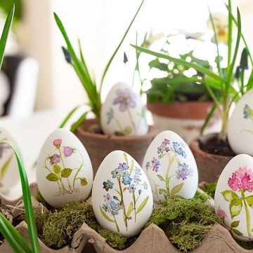 decorated eggs in carton