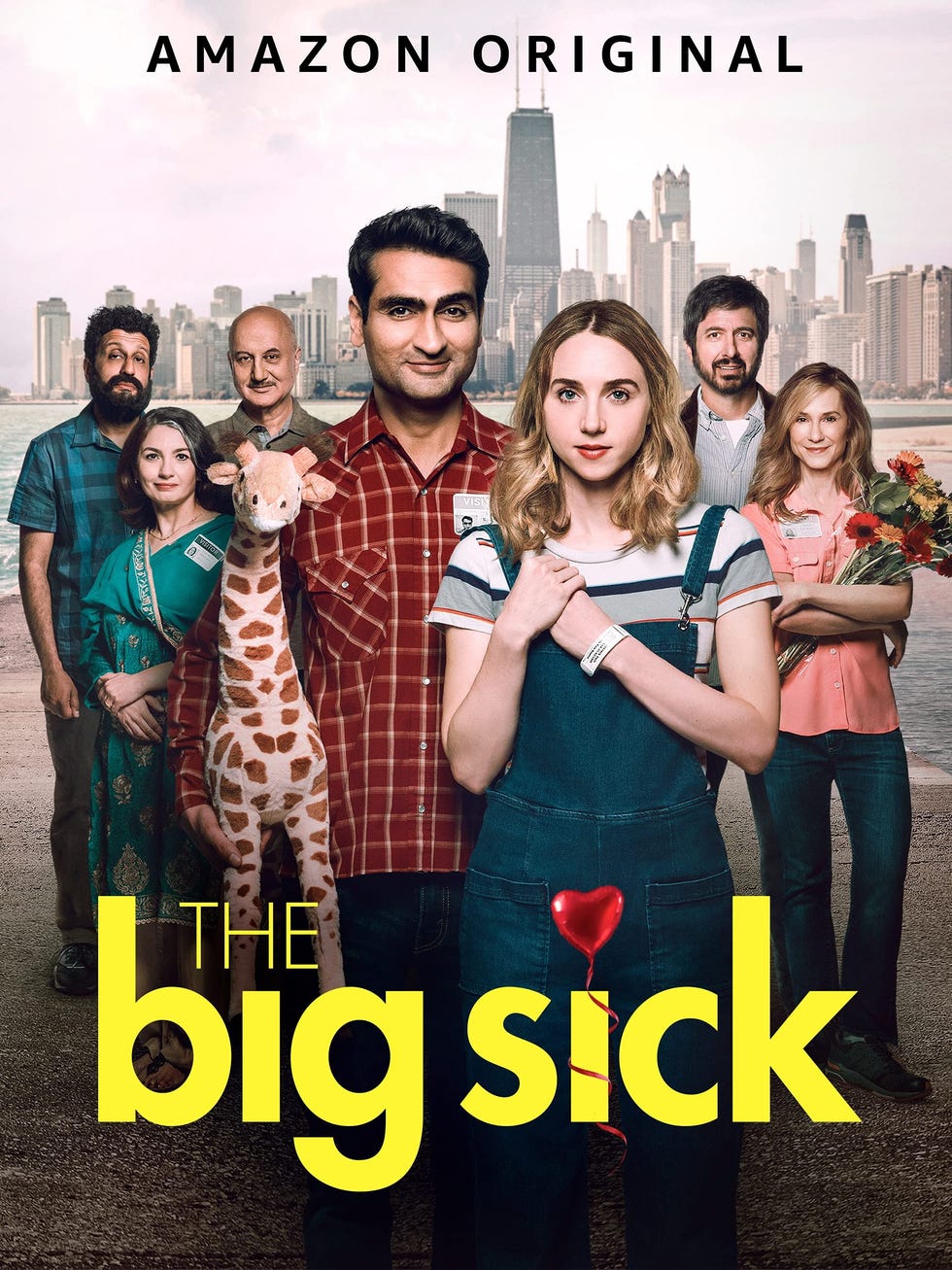 the big sick movie poster