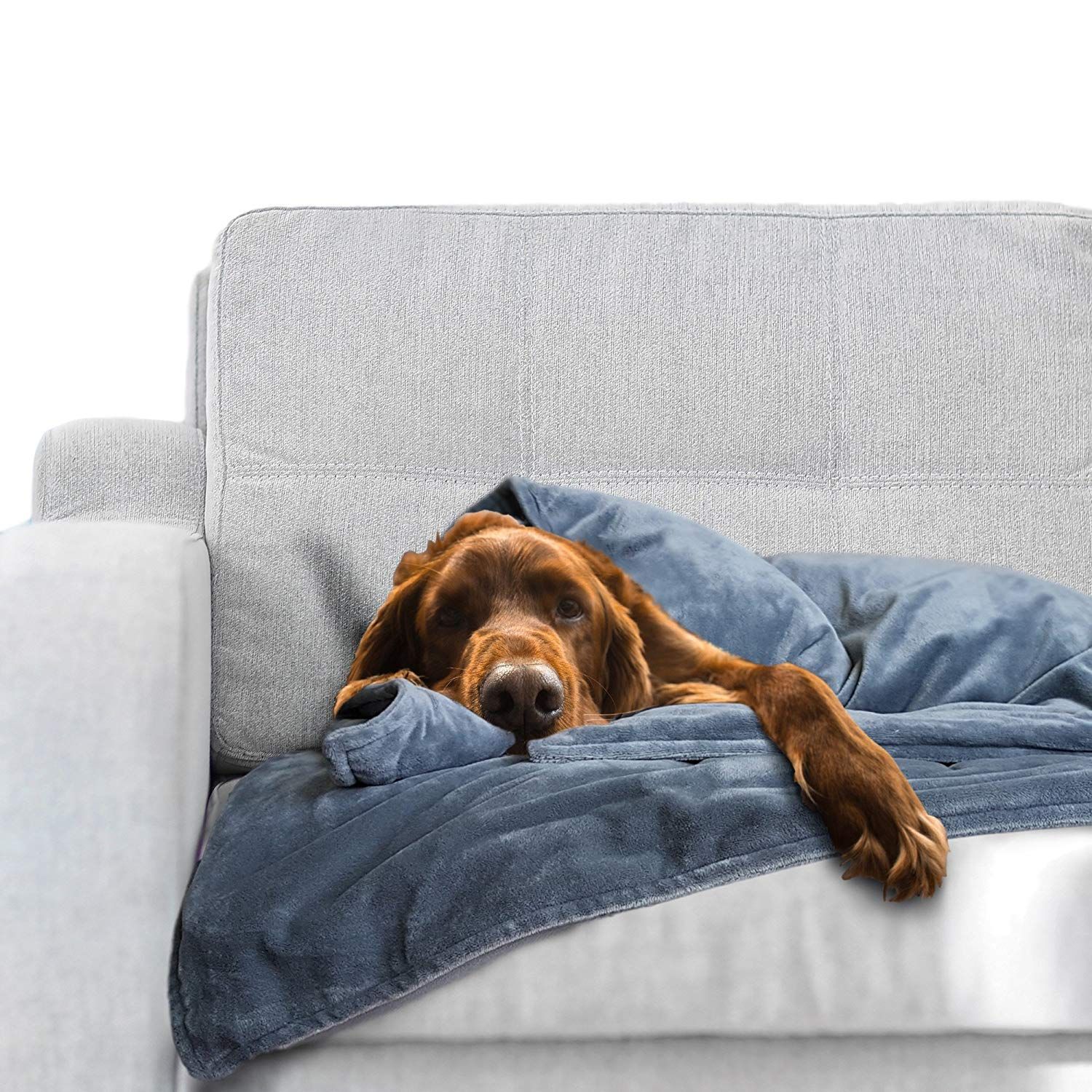 Best Weighted Blanket for Dogs on