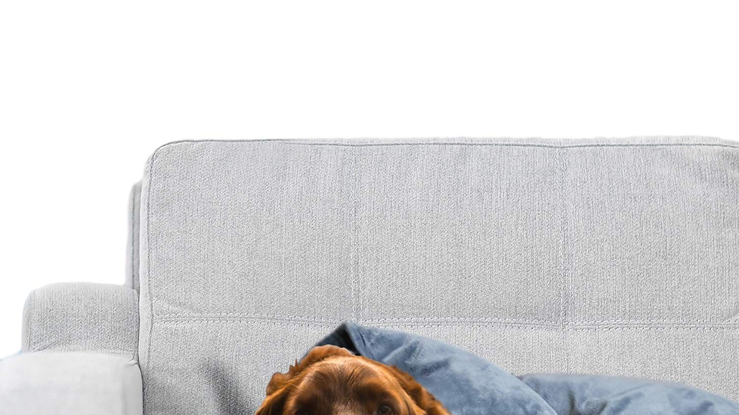 Are Weighted Blankets Safe For Dogs?