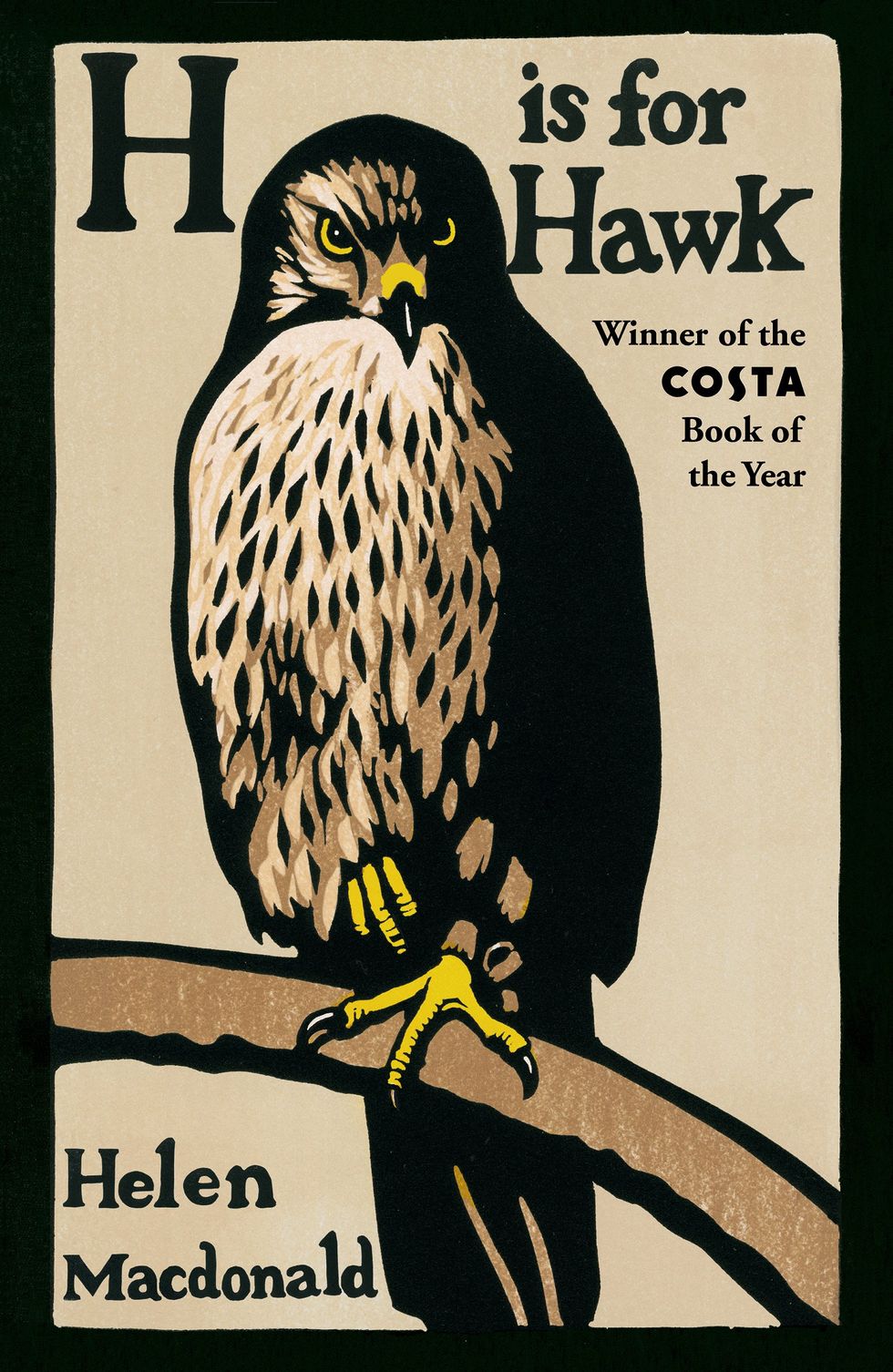 Bird, Bird of prey, Peregrine falcon, Falcon, Beak, Hawk, Poster, Falconiformes, 
