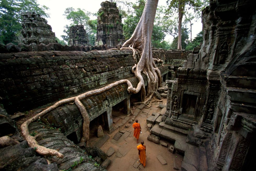 Woeste vijgenbomen en kruipende korstmossen verslinden runes in Ta Prohm in Angkor eens de thuisbasis van honderden monniken