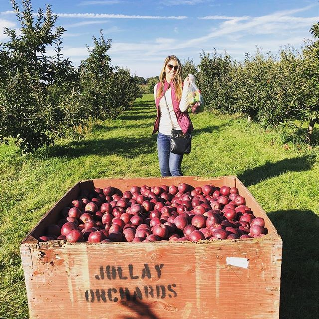 20 Best Apple Picking at Farms and Orchards Across the U.S.