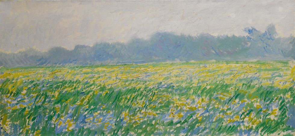 Claude Monet Champ d'iris à Giverny
