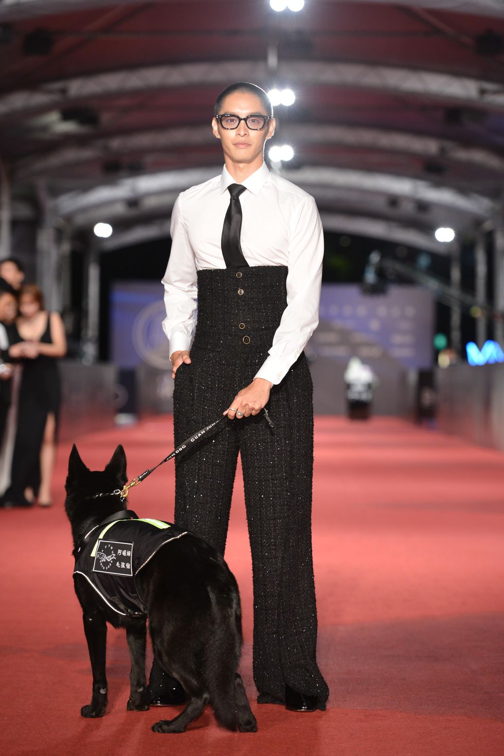 a person in a suit and tie walking a dog