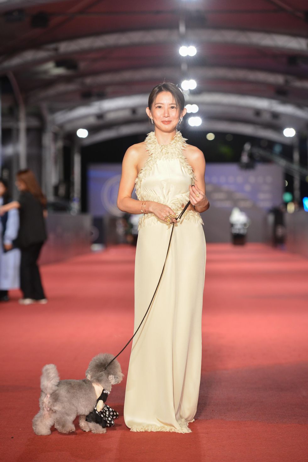 a person in a dress and a cat on a red carpet