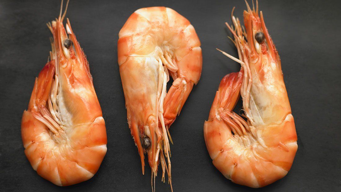 6 Disgusting Facts about Shrimp