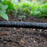 A Soaker Hose Is An Easy Way To Use Drip Irrigation