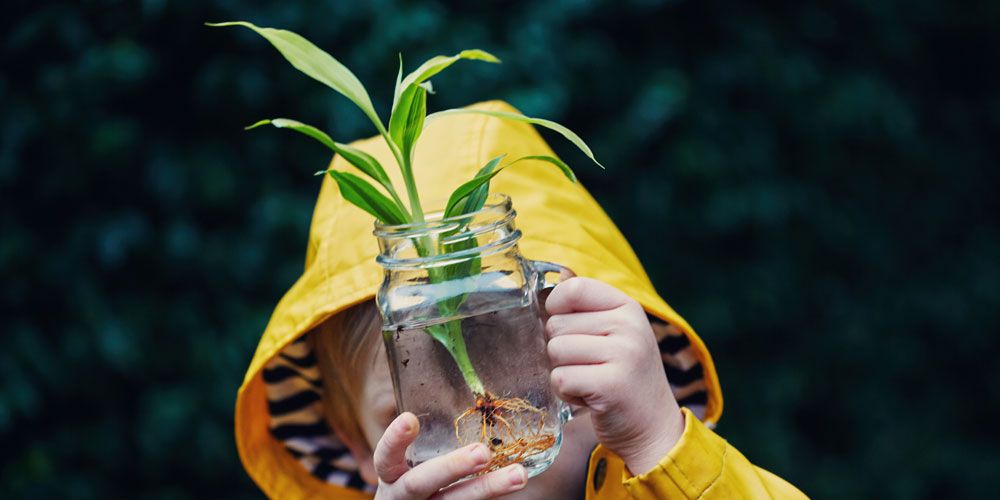 Yes, You Can Grow Thriving Houseplants In Just Water. Here's How.