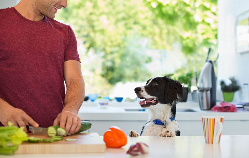 can you feed dog ground chicken cartilage