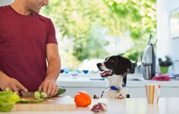 man making homemade dog food