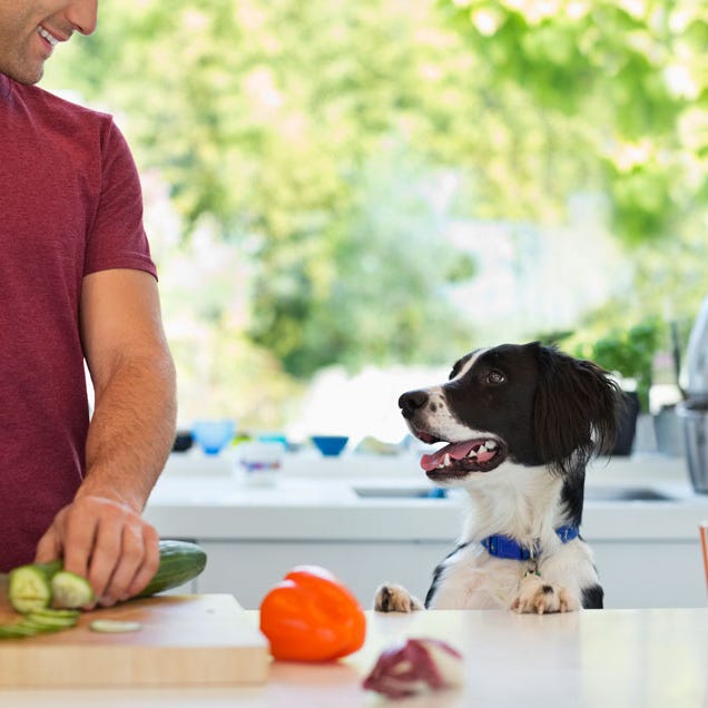 Supplement with Natural Treats and Supplements