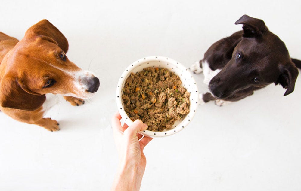 what does holistic dog food mean