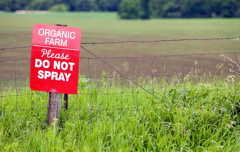 II. Benefits of Using Organic Pest Control