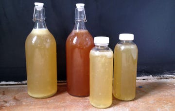 kombucha