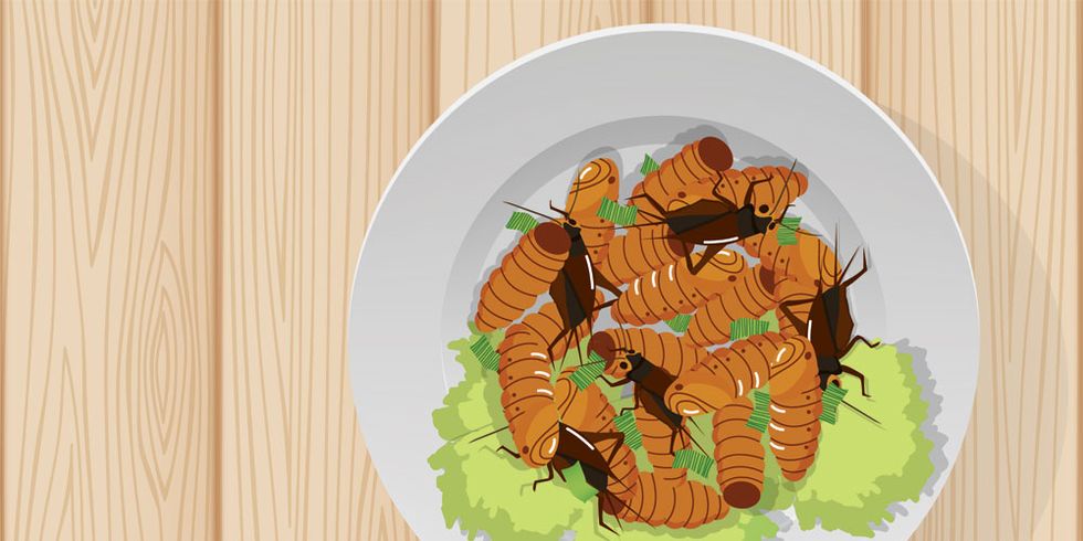plate of roaches
