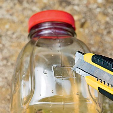 How to Make a Yellow Jacket Trap in 3 Simple Steps