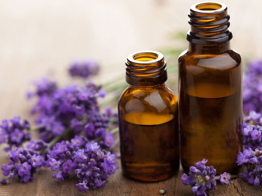Lavender Essential Oil Collection - Six types in Lavender