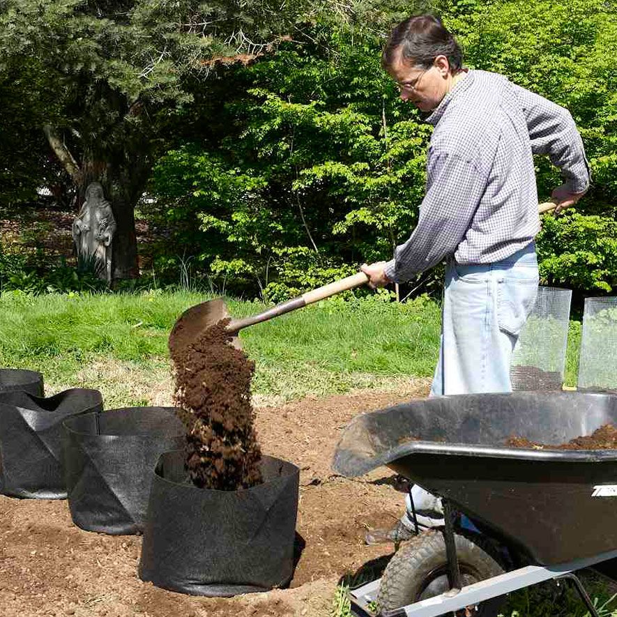 man planting potatoes in a grow bag