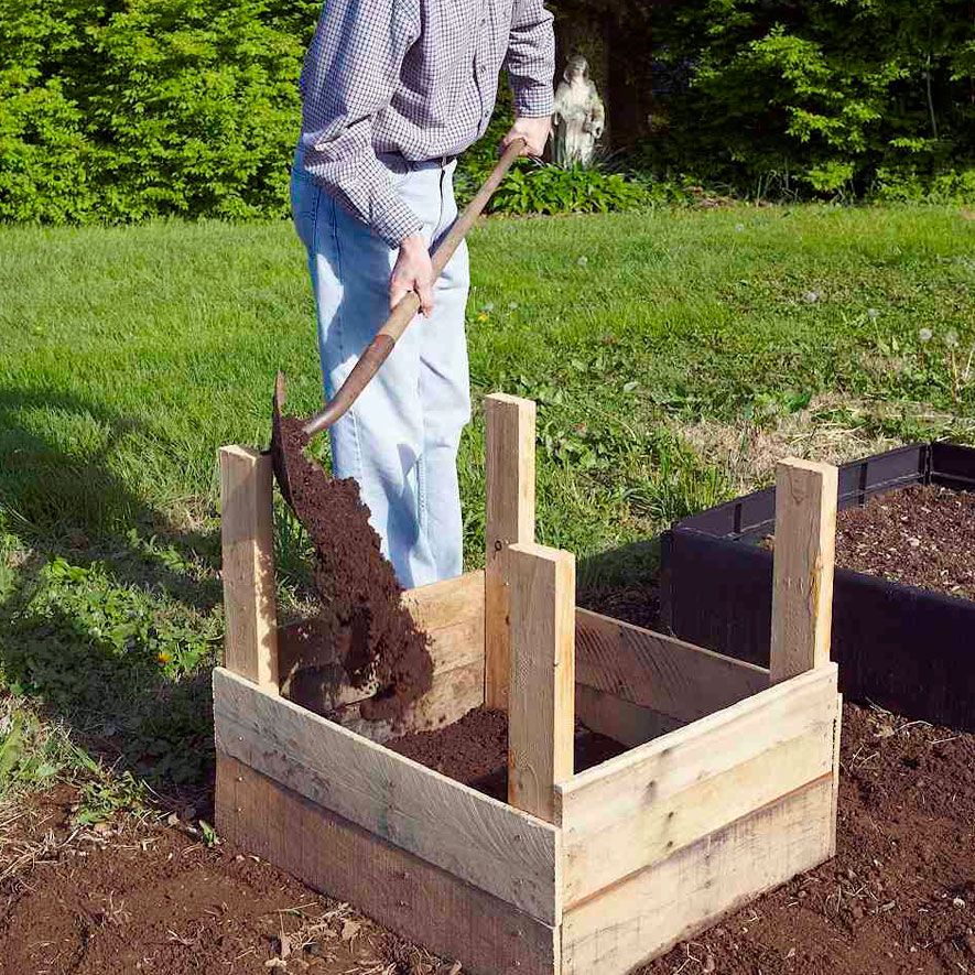 man planting potatoes in a wood box