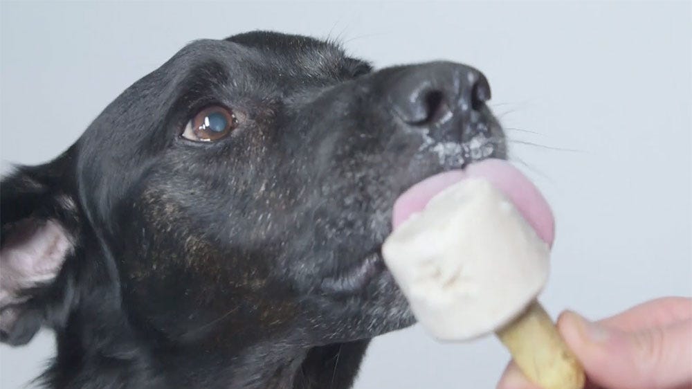 preview for Banana Peanut Butter Pupsicle Dog Treat