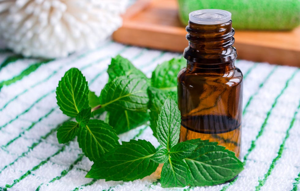 peppermint essential oil