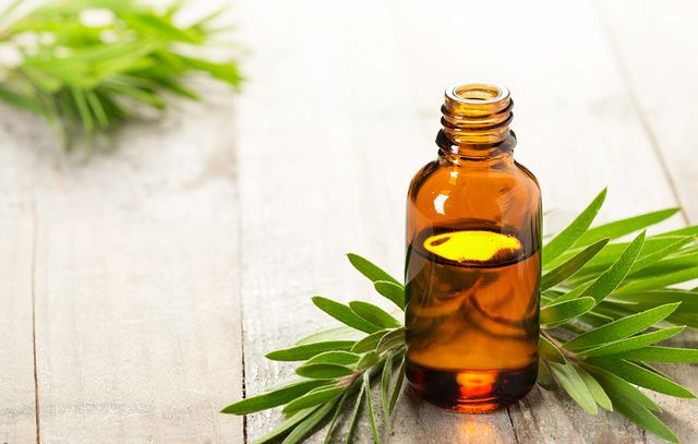 Can You Use Essential Oils For Mold Prevention & Treatment