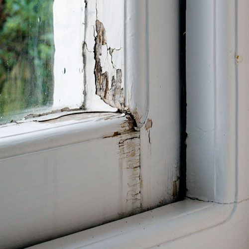 how to get rid of wasps cracks in the window sill