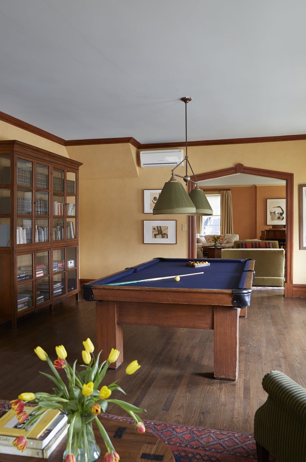 Recreational room with a pool table and bookshelf