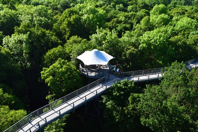 Het boomkronenpad in nationaal park Hainich bezien vanuit de uitkijktoren