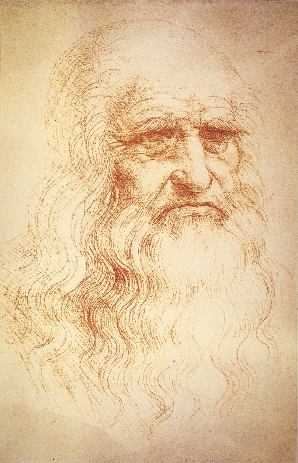 Da Vinci maakte deze tekening waarvan wordt aangenomen dat het een zelfportret is in zijn Milanese tijd rond 1512 Biblioteca Reale Turijn