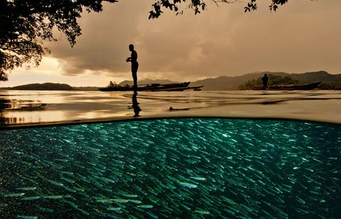 Een visser in PapoeaNieuwGuinea staat op een kleine uitleggerkano boven een school visjes in de Indonesische archipel Raja Ampat een van de hoekstenen van de Koraaldriehoek