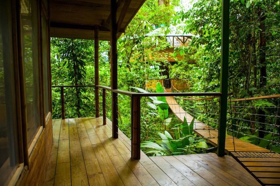 Finca Bellavista Treehouse in Costa Rica
