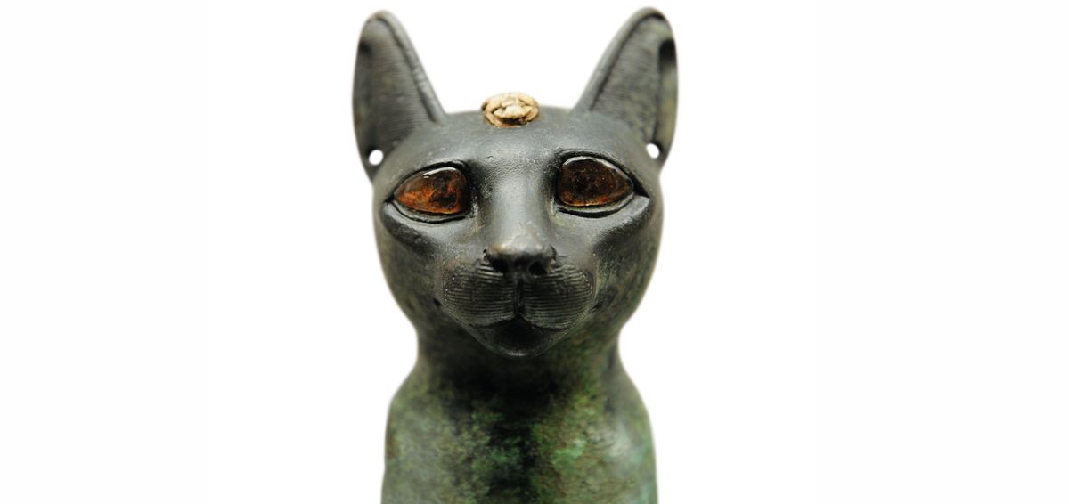 De kop van een kat een dier dat in verband wordt gebracht met de godin Bastet