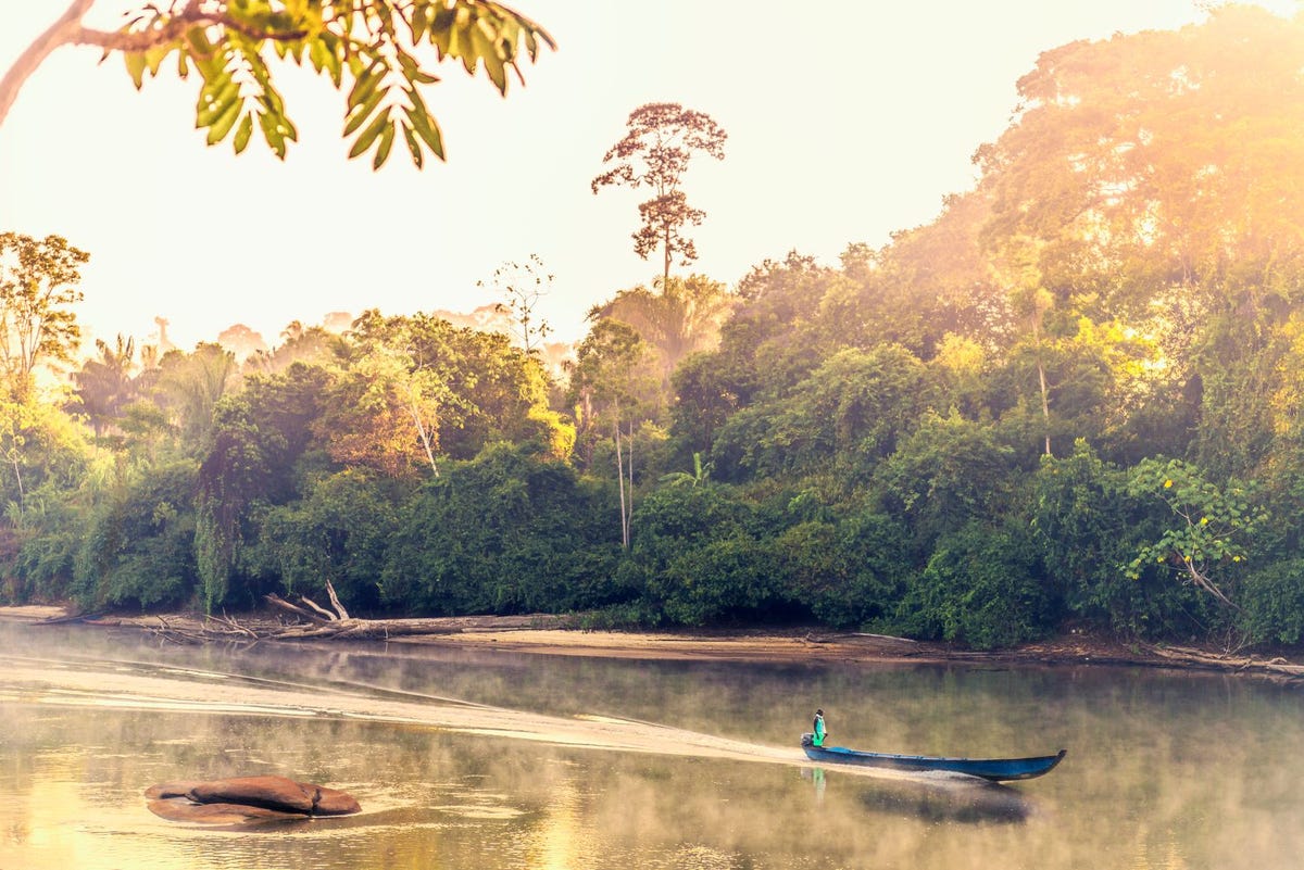De korjaal is een handig vervoermiddel voor een tocht door het binnenland van Suriname