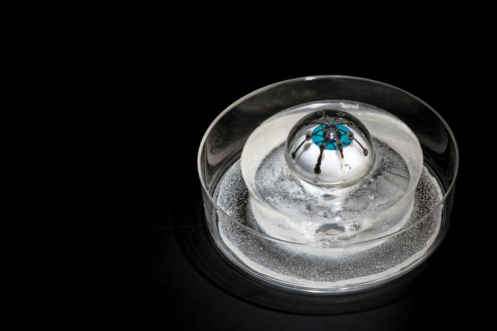 EEN BIONISCH OOG Het lijkt erop dat wetenschappers n probleem bij het maken van kunstogen hebben opgelost met behulp van 3Dtechnologie hebben ze een matrix van lichtreceptoren op een glazen oog geprint De receptoren bleven op hun plaats ondanks de bolvorm en de fotodiodes hadden een efficintie van 25 procent De volgende stap is meer receptoren aanbrengen op een zachter voor de drager comfortabeler oppervlakRACHEL HARTIGAN SHEA