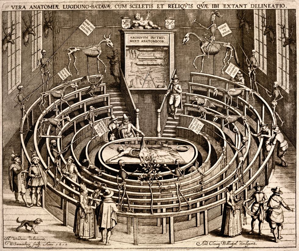 In het Theatrum Anatomicum in Leiden werden openbare ontledingen gehouden behalve studenten was ook het publiek welkom tegen betaling In Rijksmuseum Boerhaave staat een replica van het theater 1610