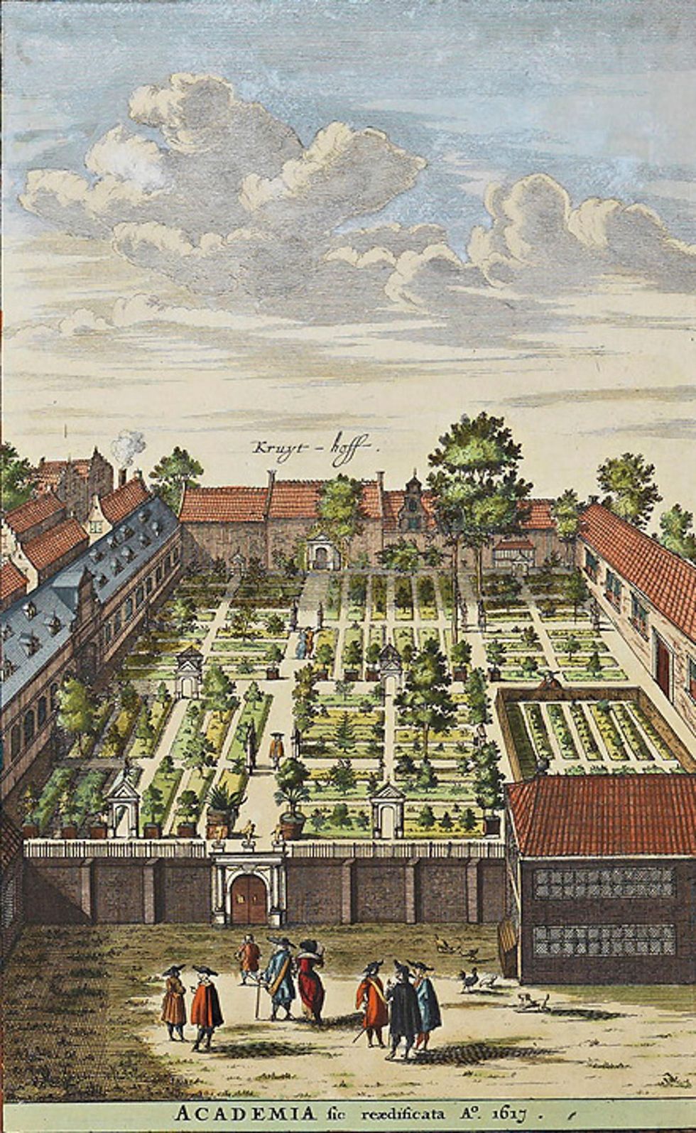 De Kruythoff van de Leidse universiteit werd in 1590 gesticht door Carolus Clusius Boerhaave breidde de collectie planten drastisch uit Hij steunde ook de zweedse botanicus Carl Linnaeus toen deze in Leiden werkte