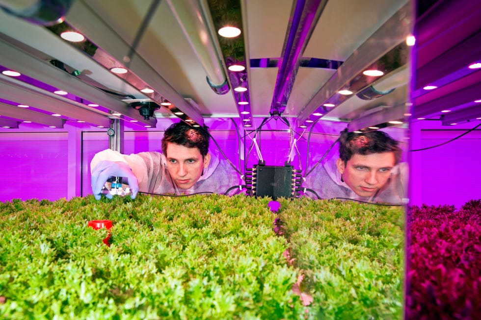 In het GrowWise Research Center op de High Tech Campus meet plantenexpert Jarno Mooren met een sensor het licht dat een plant nodig heeft voor fotosynthese In dit onderzoekscentrum van Signify het voormalige Philips Lighting wordt gexperimenteerdmet onder meer ledlicht en klimaatregeling om vertical farmingof stadslandbouw mogelijk te maken het duurzaam en efficint kweken van vers voedsel binnenshuis