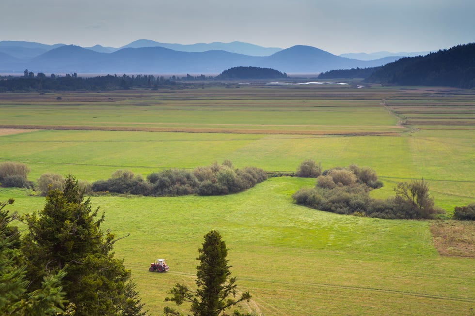 Dit landschap Cerkniko polje is vreemd genoeg het grootste meer van Sloveni Elk seizoen stroomt al het regen en smeltwater via zinkgaten in de poreuze kalkstenen bodem weg naar onderaardse grotten zoals de drukbezochte Postojna