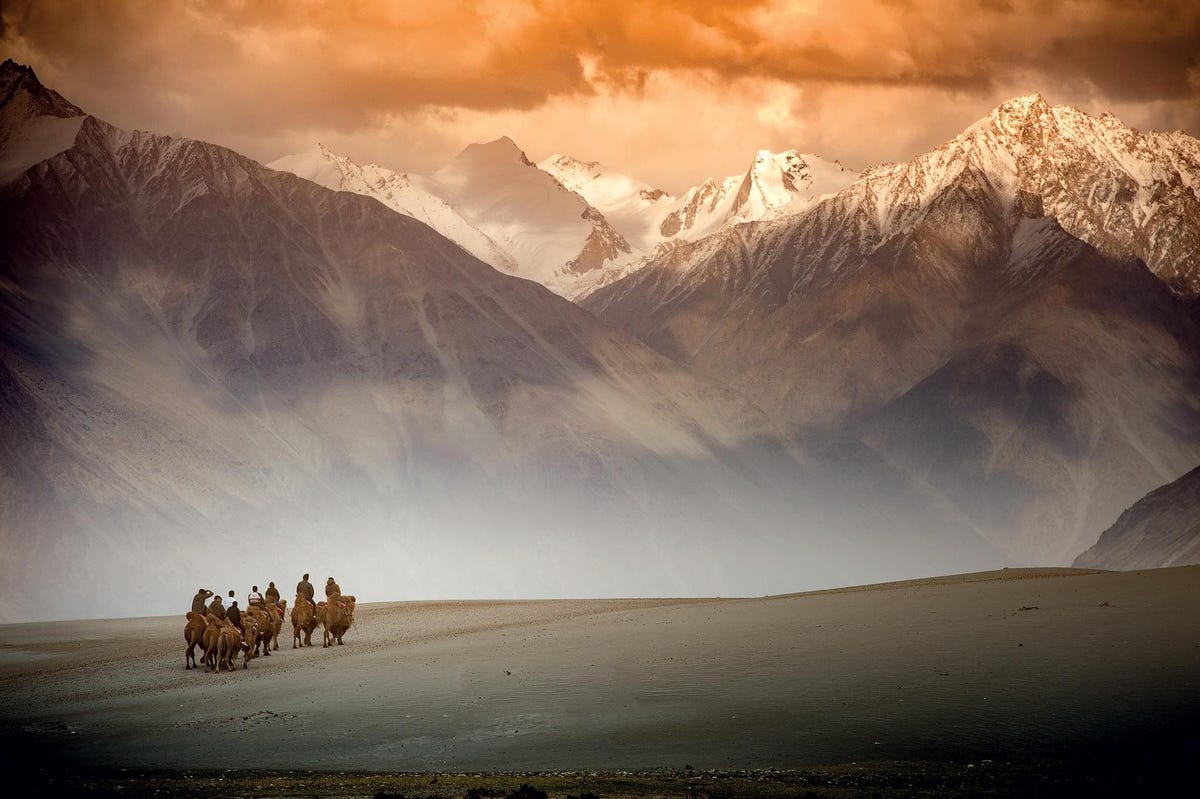 Een netwerk van handelswegen verbond het Verre Oosten met Europa en  via aftakkingen  met India De overkoepelende term Zijderoute wordt toegeschreven aan de negentiendeeeuwse Duitse geograaf Ferdinand von Richthofen Na verloop van tijd raakte de term ingeburgerd als verzamelbegrip voor een omvangrijk stelsel van handelsroutes door heel CentraalAzi