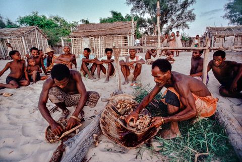 Vezomannen tijdens een rituele slachting van een zeeschildpad in Andavadoaka Zeeschildpadden zijn nu praktisch verdwenen in het gebied 1986